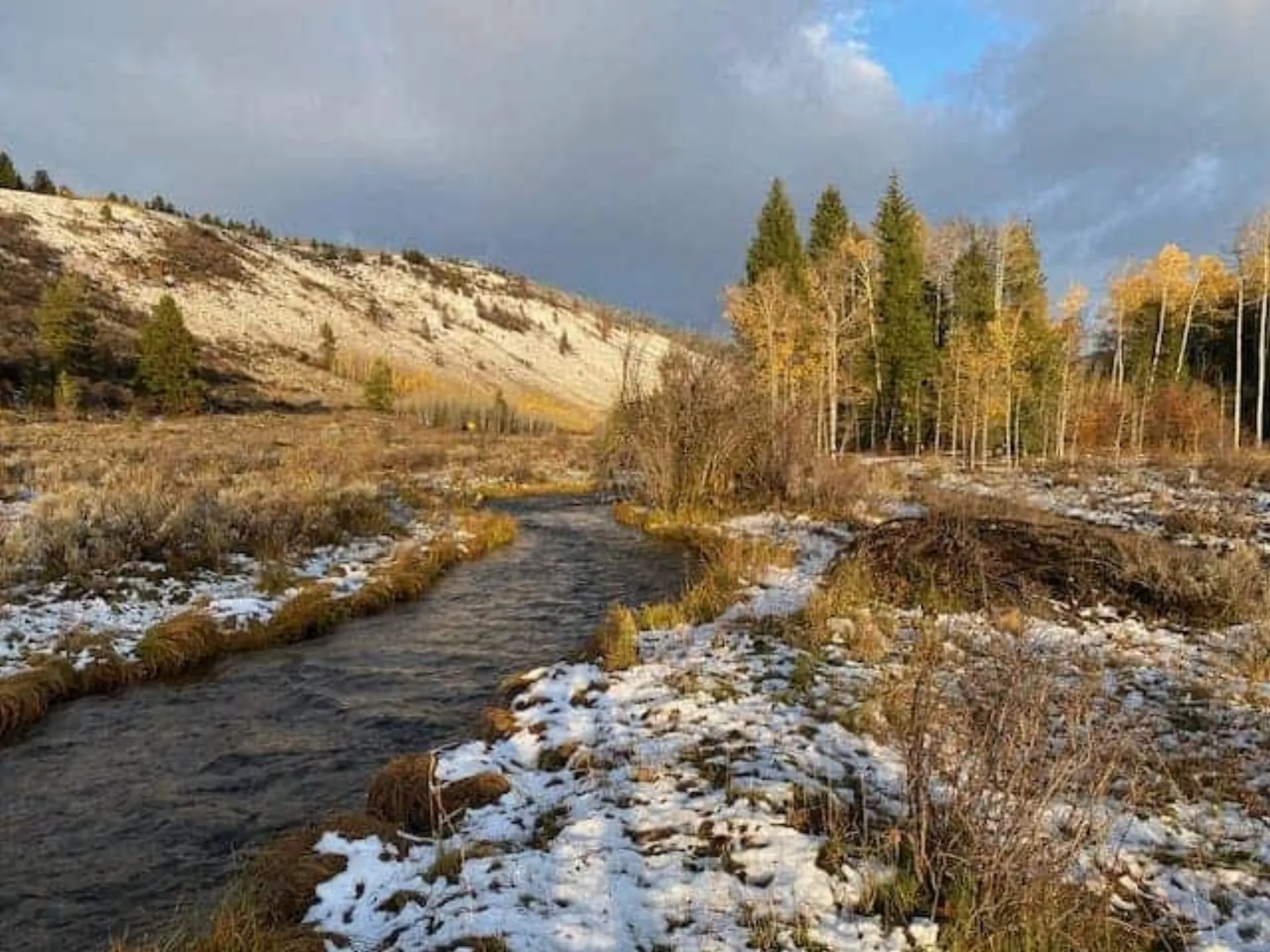 Peaceful creek winding through Teton Valley landscape with fall aspens
