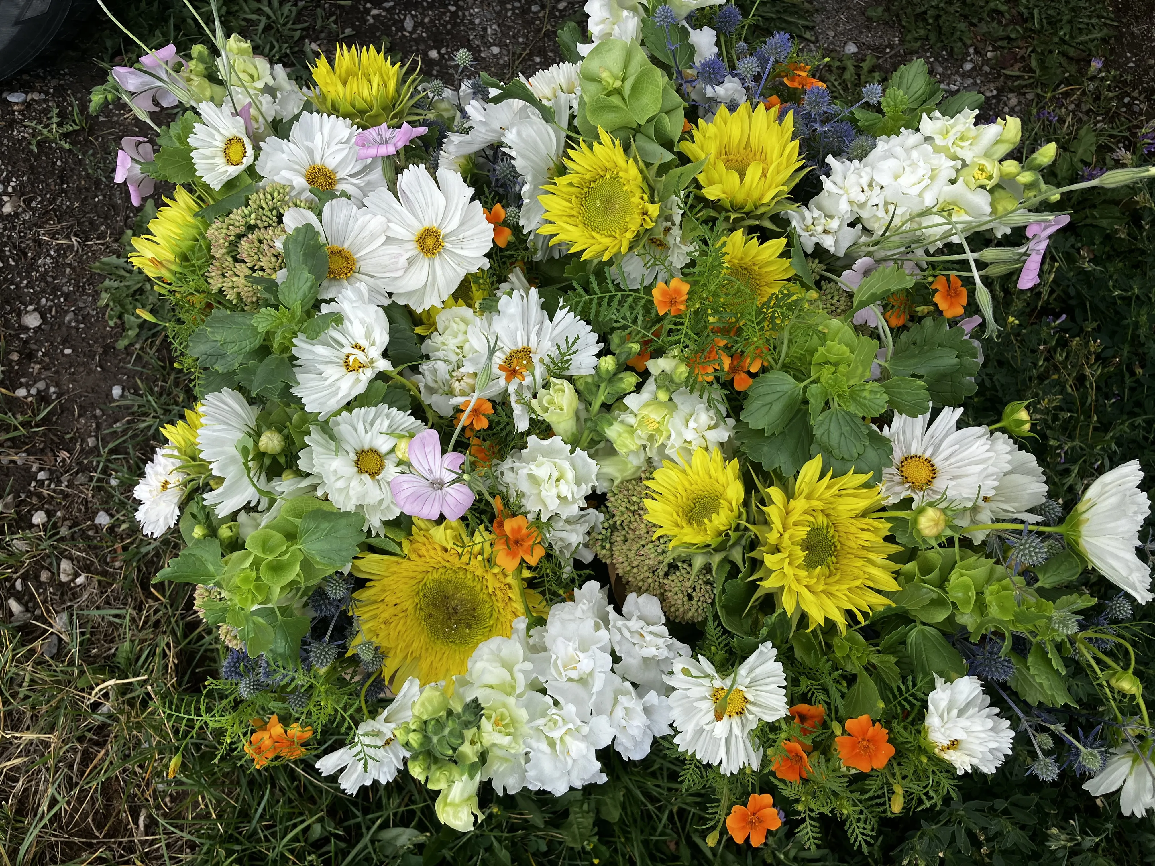 Flowers for hardworking nonprofits in Teton Valley