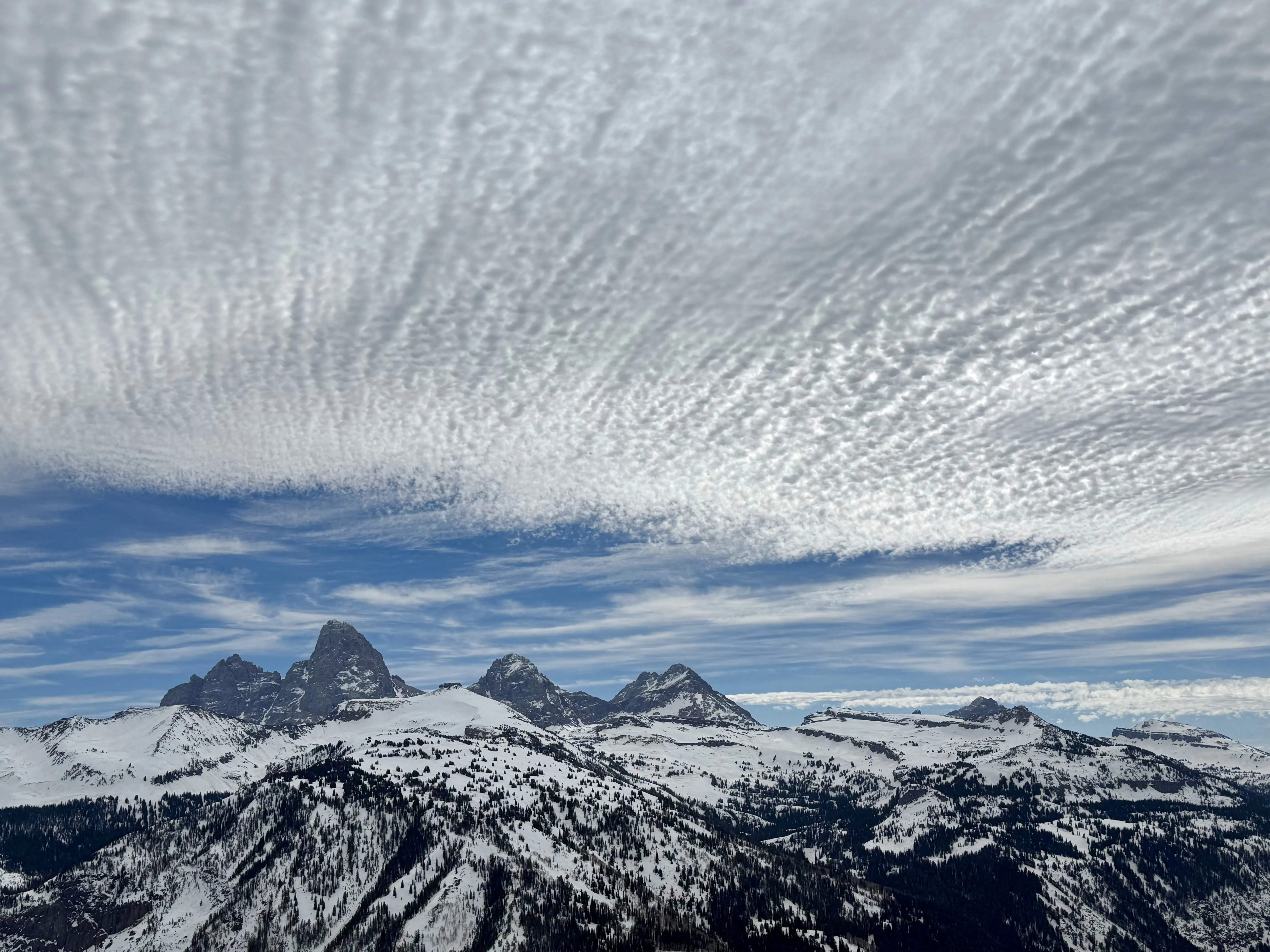 Planned giving at the Community Foundation of Teton Valley