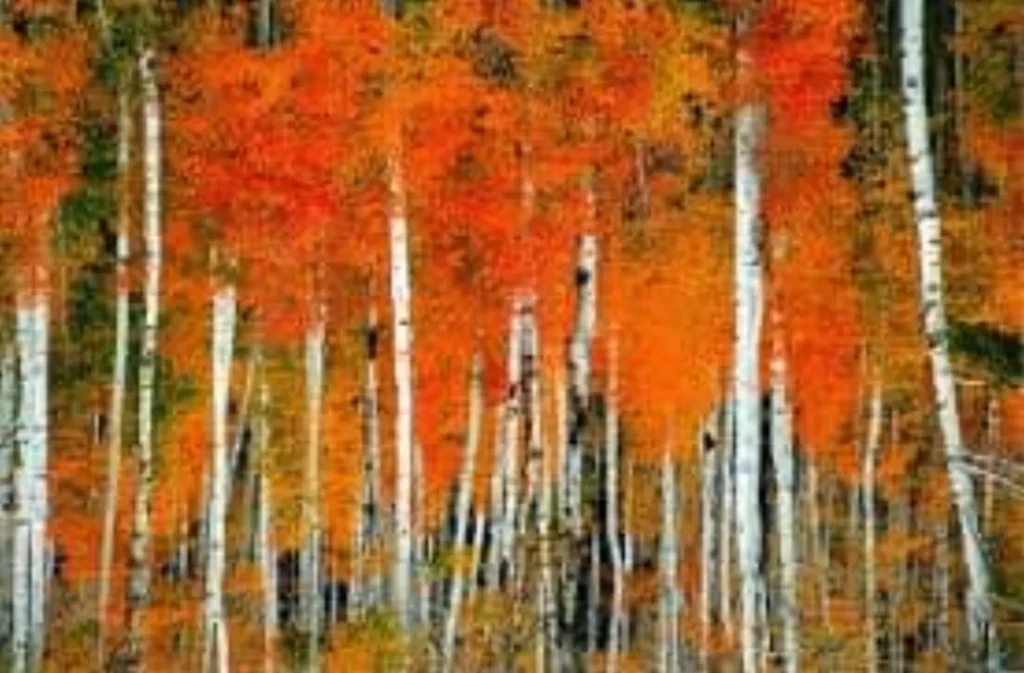 Community Foundation of Teton Valley Now Accepting Fall Grant Applications