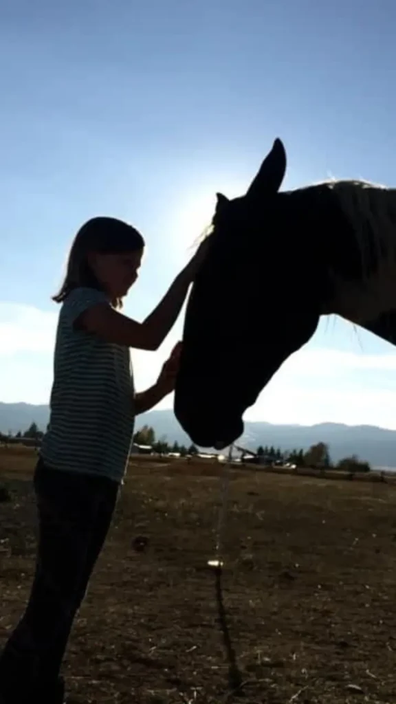 Why It Matters: HAPI Trails, Horse Adoption Program, Inc.
