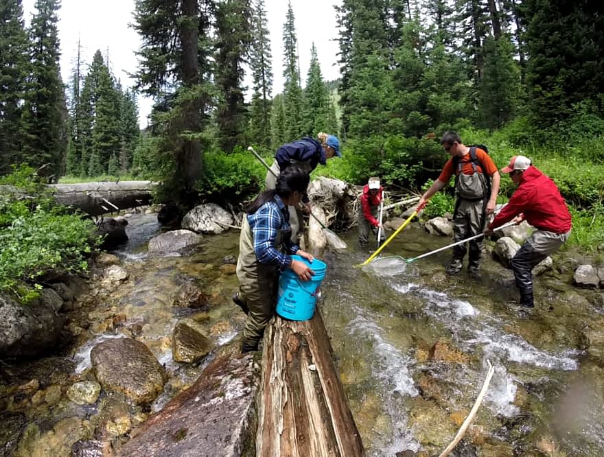 Why It Matters: Friends of the Teton River