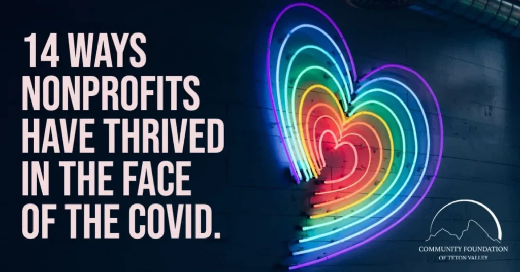 14 Ways Nonprofits Shine in the Face of Adversity
