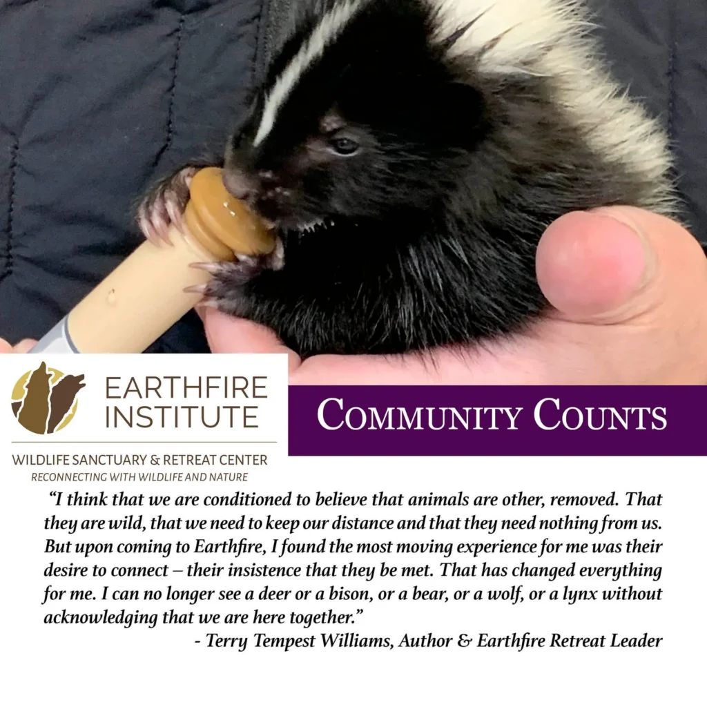 Community Counts: Earthfire Institute