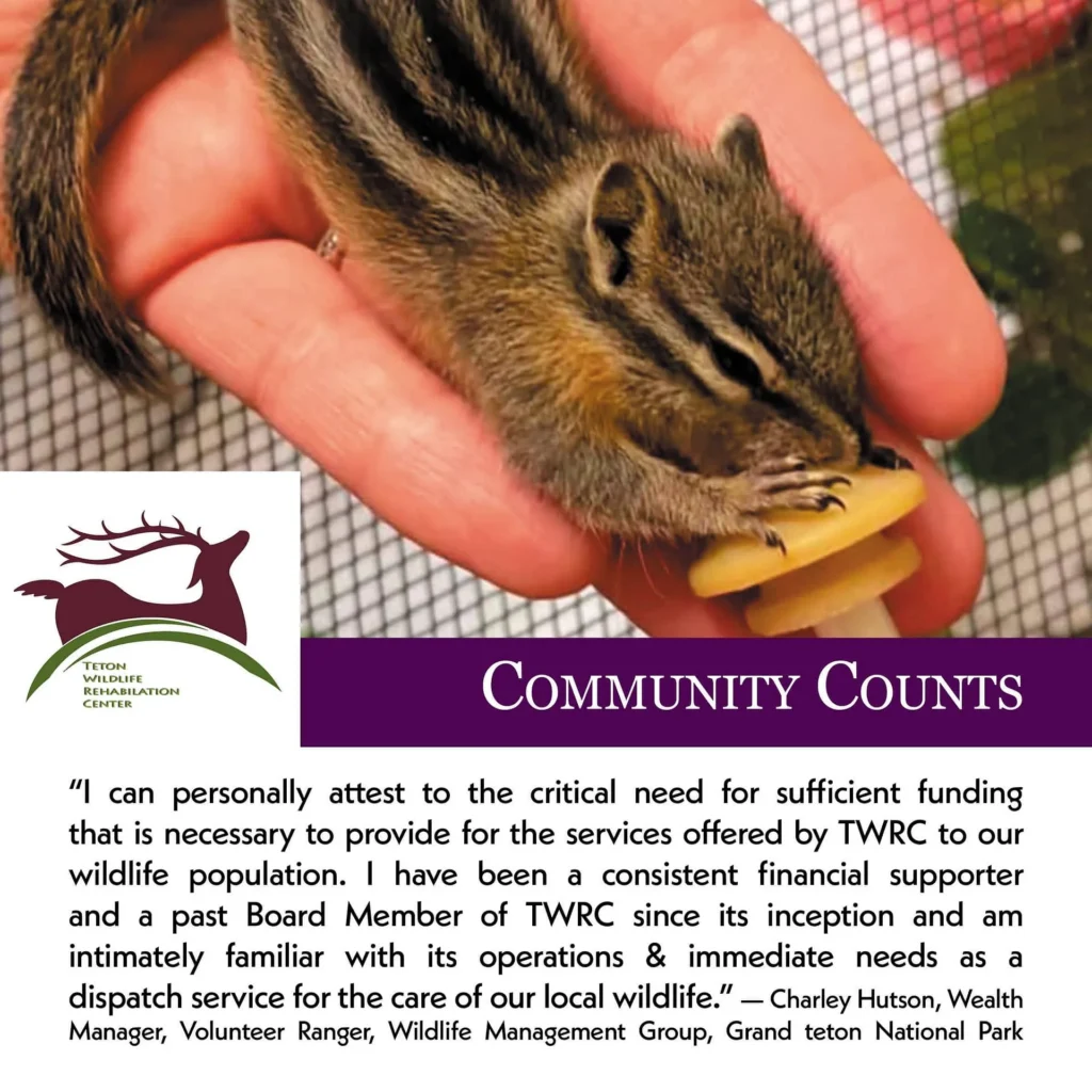 Community Counts: Teton Wildlife Rehabilitation Center