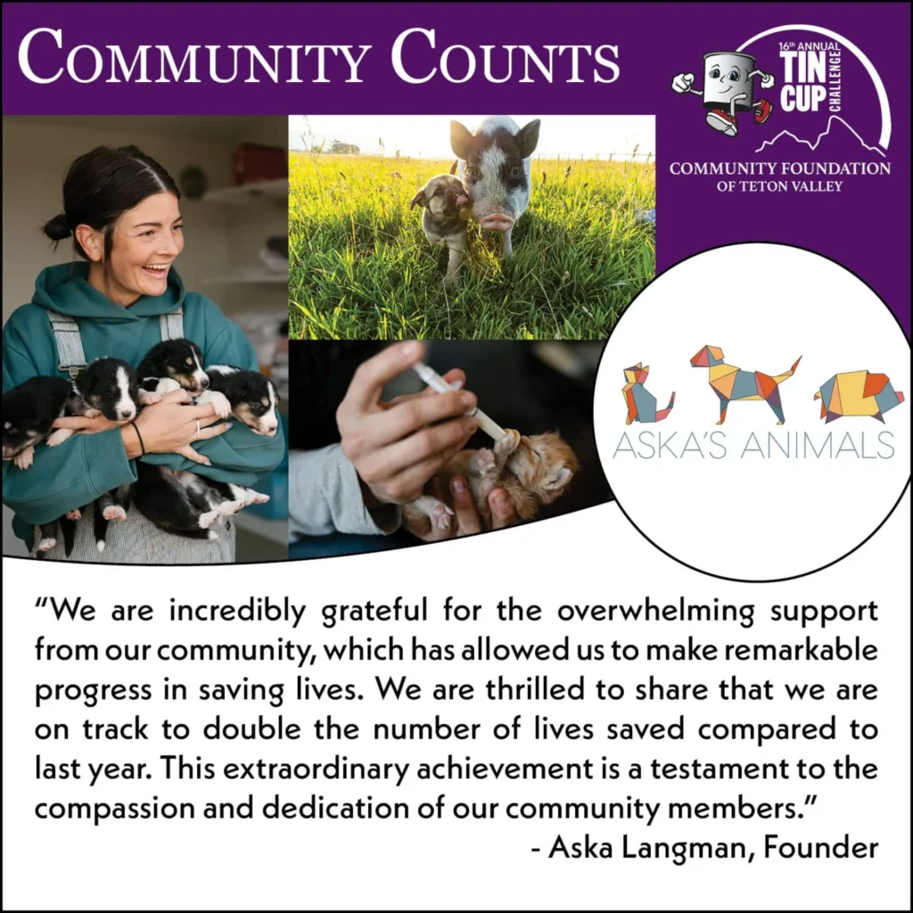 Tin Cup Challenge: Aska's Animals