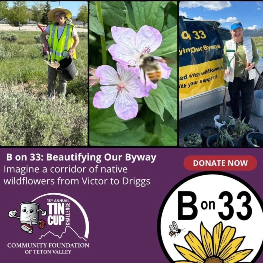 B on 33: Beautifying Our Byway with Native Wildflowers