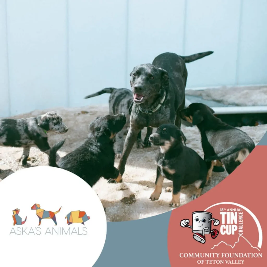 With Our Canine Behavior & Enrichment Manager, Sam