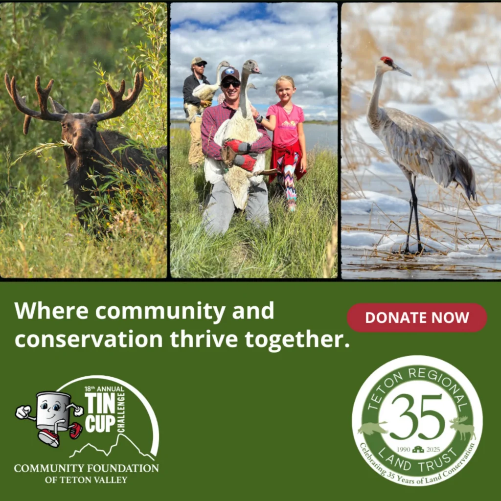 Tin Cup 2025: Your Support, Our Shared Legacy