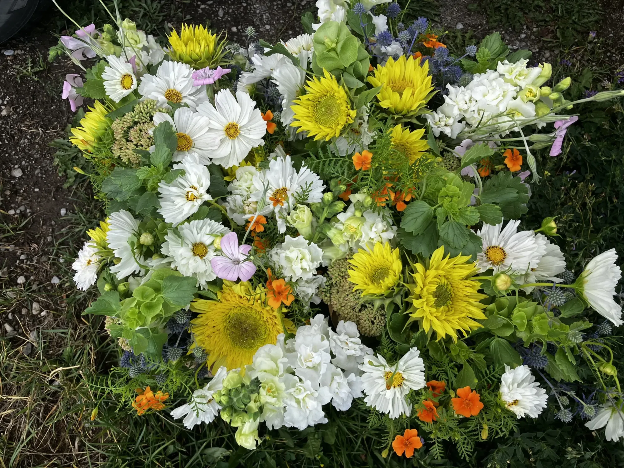 Flowers for hardworking nonprofits in Teton Valley