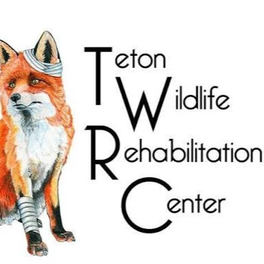Teton Wildlife Rehabilitation Center logo