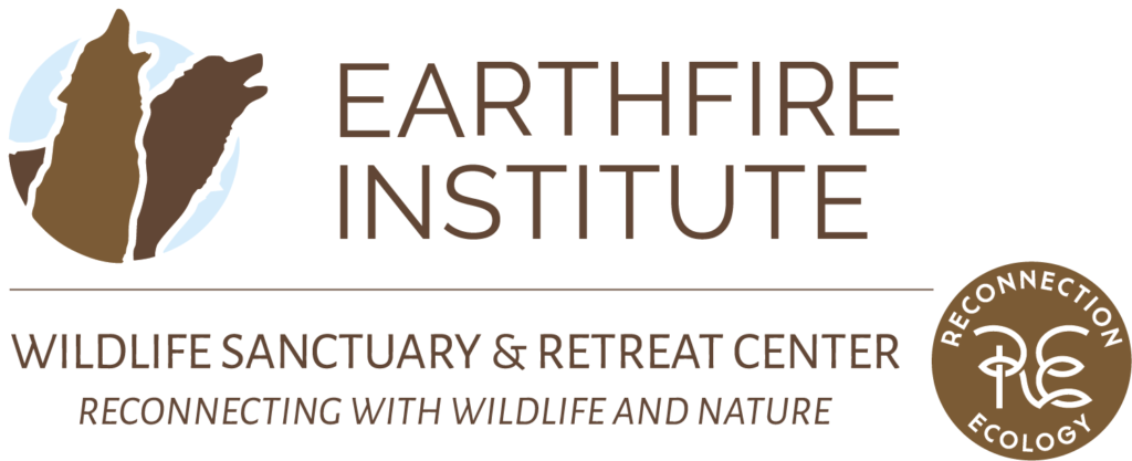Earthfire Institute logo